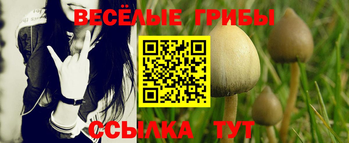 Лысьва  Псилоцибиновые грибы GOLDEN TEACHER  Вход с VPN 